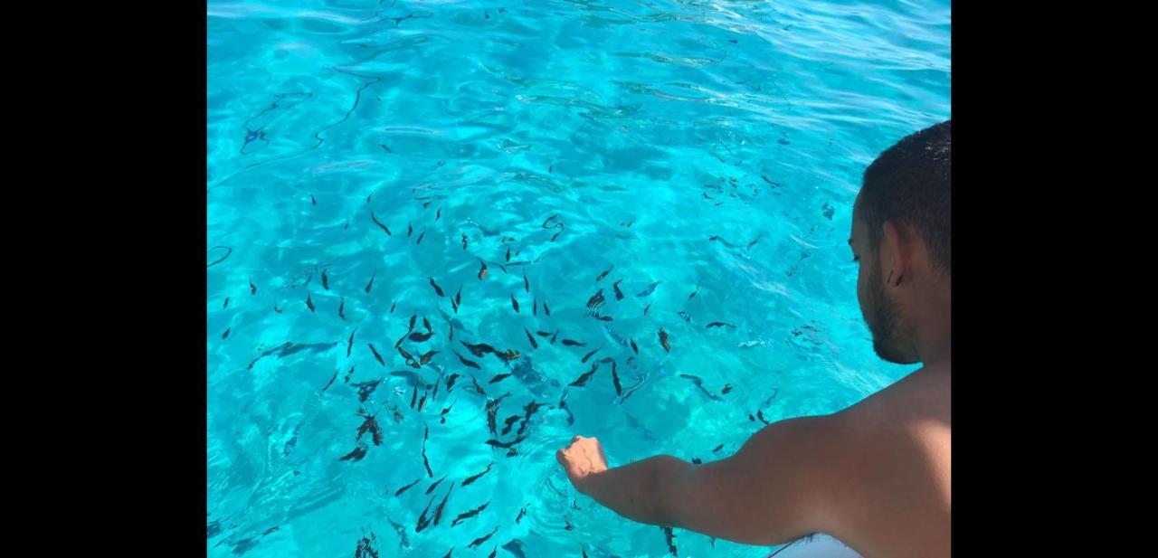 meraviglie d' Ogliastra Appartamento Bari Sardo Esterno foto